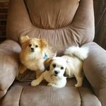 Lori Estes - @loriestes01 - Instagram