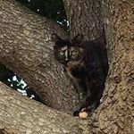 Lori Estes - @lori.estes.12 - Instagram