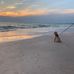 Lori Verschoor Estes - Facebook