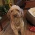 Loretta Eubanks - Facebook