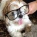Laura Everhart - Facebook