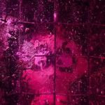 Lorie Zeller - @loriezeller - Instagram