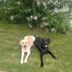 Lori Fallon - @lfallon1958 - Instagram