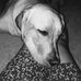 Lori Fallon - Facebook