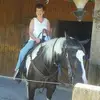 hunnybunny - @lorifell2 - TikTok