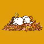 Lori Fell - @loralei_63 - Instagram