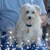 Lori Field - Facebook