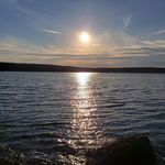 Lori Field - @loridfield - Instagram