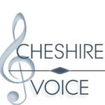 Lori Fine - @cheshirevoice - Instagram