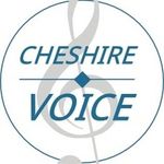 Lori Fine - @cheshirevoicestudio - Instagram