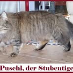 Laura Fleckenstein - Facebook