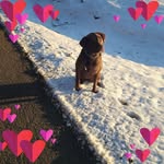 Lori Ann Flint - @flintlori - Instagram