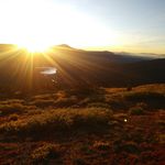 Lori Flint - @irolflint9 - Instagram