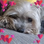Lori Flora - Facebook