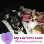 Lori Foley - @foley7277 - Instagram