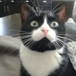 Lorraine Forcier - @forcierlorraine - Instagram