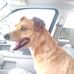 Lori Frampton Lautenslager - Facebook