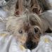 Lori Frederickson-Denson - Facebook