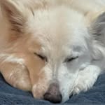 Lori Freeland Morris - @lorimorris82 - Instagram