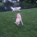 Lori Freer - Facebook