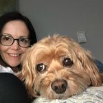 Lori Freer - @lorifreer - Instagram