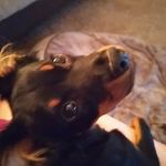 Lori Freese - @supergirlzoom555 - Instagram