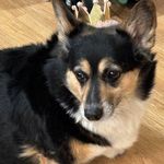 Lori Freese - @lorifr123 - Instagram