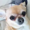 Lori Freese - @lori.freese2 - TikTok