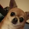 Lori Freese - @lori.freese - TikTok