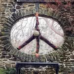 Lori Freitag - @lori_freitag - Instagram