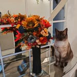 Lori Fulton - @lori252409 - Instagram