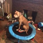 Lori Fulton - @lorifulton707 - Instagram