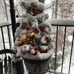 Lori Fulton Rhue - @rhuelori - Instagram