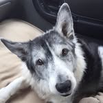 Lorie Fyfe - @loriefyfe - Instagram