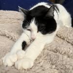 Lori Gagnon Schroll - @laschroll5 - Instagram