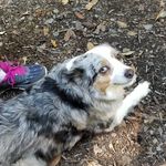 baileygaith - @gaitherlori - Instagram