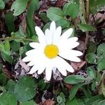 Lori Bolton Gaither - @lori.bolton.3 - Instagram