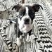 Lori Gammon - Facebook
