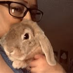 Lori King Gammon - @lorigammon48 - Instagram