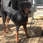 Lori Garland - @lorigarland9873 - Instagram