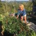 Lori Garland - Facebook