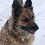 Lori Garnett Murray - @murray1955 - Instagram