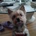 Laura Gaskin - Facebook