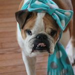Lori Gaston Olivieri - @lori.olive - Instagram