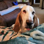 Lori Gavin - @lori.gavin.14 - Instagram