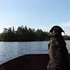 loriannegeddesgranger - @loriannegeddesgranger - TikTok