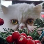 Lori Gee - @lng861 - Instagram
