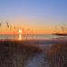 Lori Geisler - Facebook