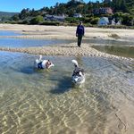 Lori Gerard - @lori.gerard.77 - Instagram