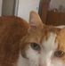 Lori Gerber - Facebook